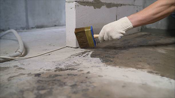 24/7 Emergency Crawl Space Encapsulation experts in Silver Lake, NY